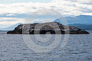 Lapataia bay landscape, Tierra del Fuego. Landscape of the Atlantic Ocean in Ushuaia, Argentina  landmark