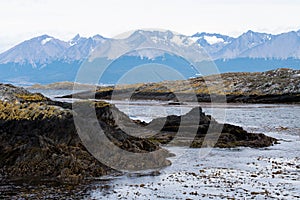 Lapataia bay landscape, Tierra del Fuego. Landscape of the Atlantic Ocean in Ushuaia, Argentina  landmark