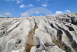 Lapies field in mehedinti plateau,romania