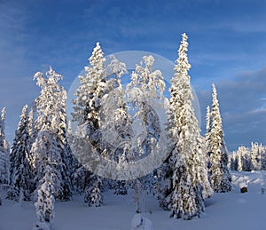 Lapland