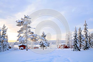 Lapland Winter landscape Sweden photo