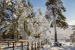 Lappohjanranta recreation area in winter, stairway to the beach, forest and sea