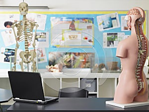 Laptop And Anatomical Model In Biology Class