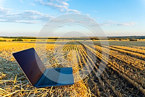 Laptop in the autumn field and blue sky behind
