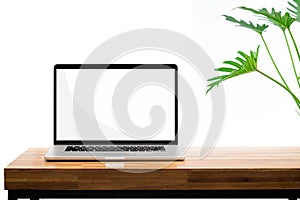 Laptop blank screen on wooden desk green plant on white background