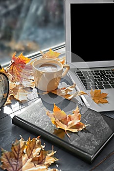 Laptop with coffee, book and autumn leaves on windowsill