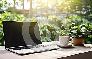 laptop, coffee cup and plant on white wooden table, office work concept