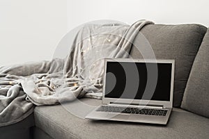 Laptop computer with blank black screen standing on gray sofa