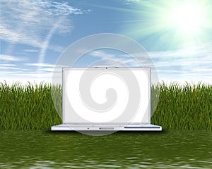 Laptop computer on the green grass