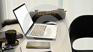 Laptop computer, smart phone, coffee cup and cat on white table.