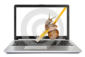 Laptop computer with a snail crawling on a yellow network cable