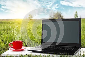 Laptop and cup of hot coffee on the background picturesque nature