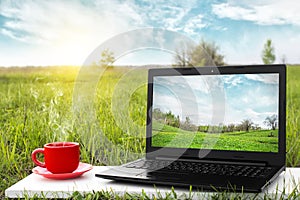 Computer portatile un tazza da caldo caffè sul pittoresco natura 