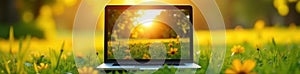 Laptop displays a vibrant video call, sunny grass backdrop, digital, grass, conversation