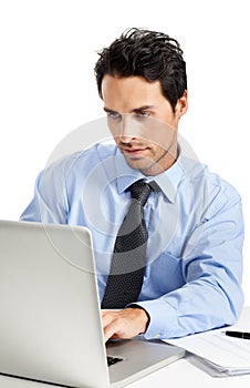 Laptop, documents business man typing feedback review of financial portfolio, stock market database or investment