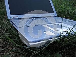 Laptop on the grass