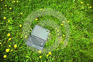 Laptop in grass