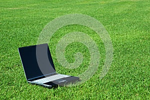 Laptop on the Grass