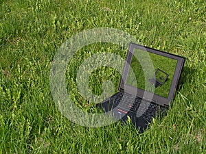 Laptop on the grass