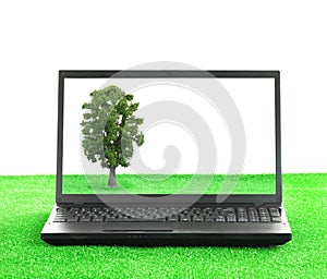 Laptop on the grass with a tree