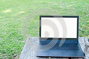 Laptop and green grass