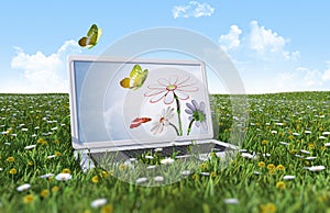 Laptop on the green grass