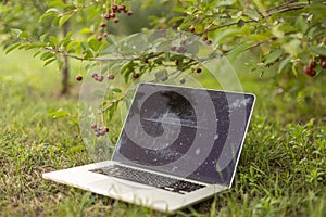 Laptop on green grass in park. Working outdoor