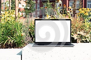 laptop mockup. Notebook with white screen morning city urban public space on background. Urban, and remote work and