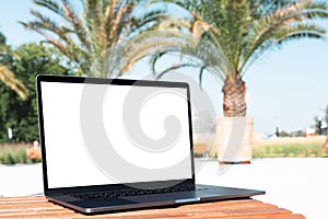 laptop mockup. Notebook with white screen with palm tree leafs on background. Vacation, traveling and remote work and