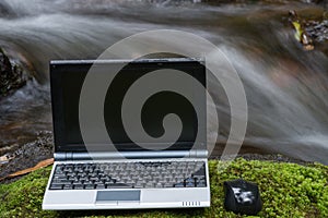 Laptop on a moss