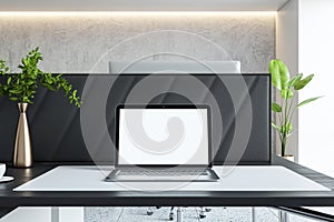 Laptop on an office table with plant decoration and modern lighting, productive setting.