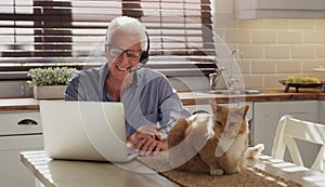 Laptop, pet and man with headset in home with customer service consultation for online crm. Technology, cat and mature