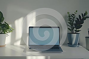 Laptop, Plants, and Sunlight: A Serene Workspace