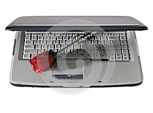 Laptop and red rose