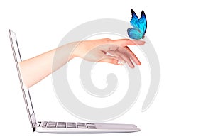 Laptop side view with butterfly on hand
