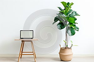 A laptop sits open on a wooden table, next to a vibrant green potted plant. Minimalist home office desk workspace
