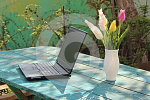 The laptop stands on a green wooden table in the garden. White tulips in a white vase.