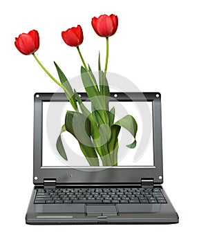 Laptop with tulips bouquet