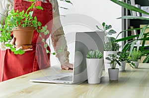 Laptop woman greens plant greenhouse workplace online meeting houseplant shopping sale