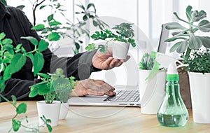 Laptop woman greens plant greenhouse workplace online meeting houseplant shopping sale