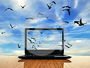 Laptop on wooden table with silhouette flog of birds are flying in monitor and blue sky photo