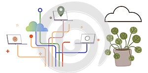 Collaborative Cloud Computing Network with Digital Growth Concept