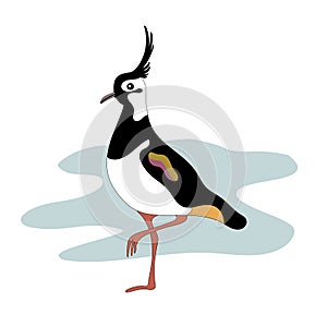 Lapwing bird. Vanellinae. Cartoon image.