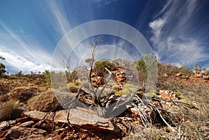 Larapinta Trail - on the track