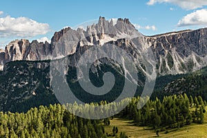 Larch tree forest at Croda da Lago in Dolomites