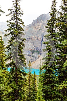 Larch Valley Hike From Moraine Lake in Lake Louise