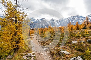 Larch Valley hiking trail. Banff National Park, Canadian Rockies, Alberta, Canada.