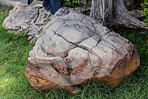 Larg stones for decorating