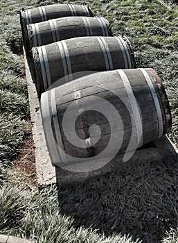 Large abandoned wine vats on grss