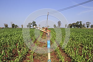A large agriculture sprinkler wetting a newly planted corn field
